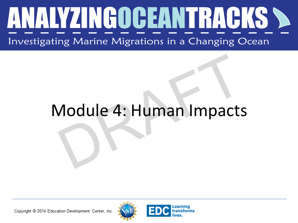 Module 4