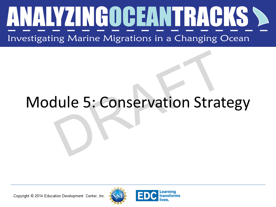 Module 5