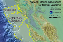 Marine Sanctuary