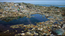 Conservation Video