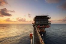Oil extraction