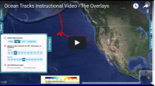 The Overlays Video