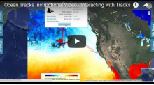 Overview Video