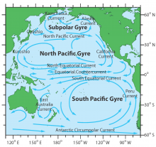 Pacific Current