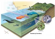 Upwelling